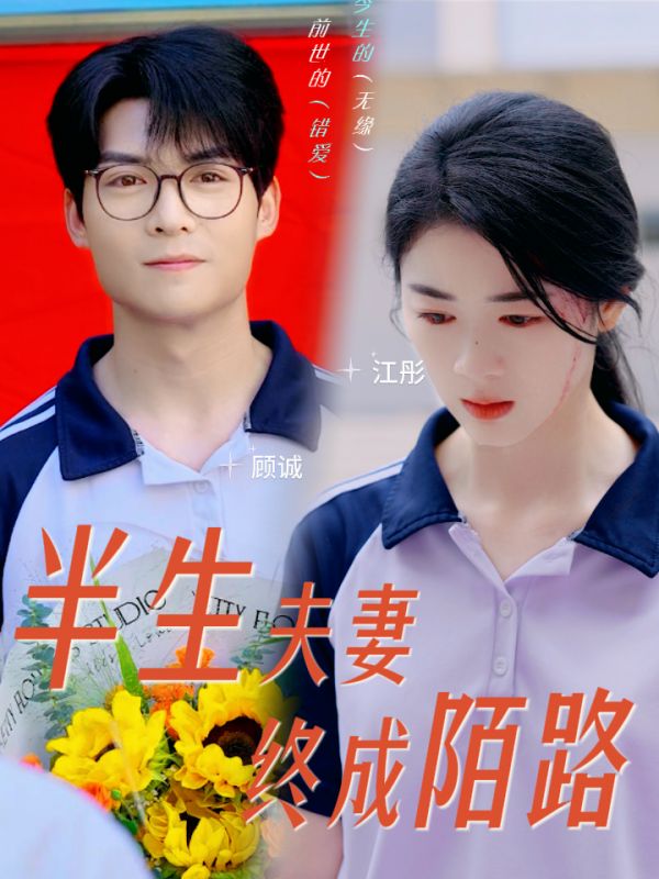 半生夫妻终成陌路第01集