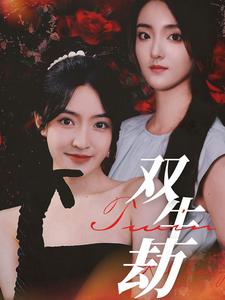 双生劫第27集