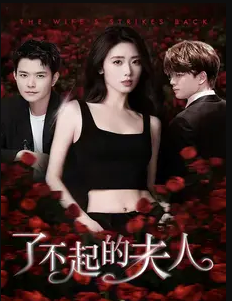 了不起的夫人第10集