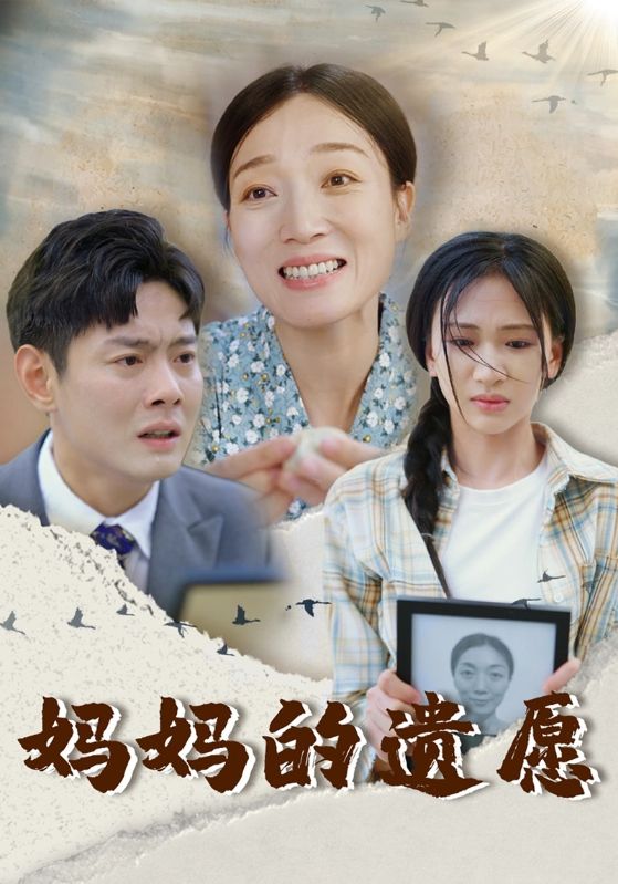 妈妈的遗愿第21集