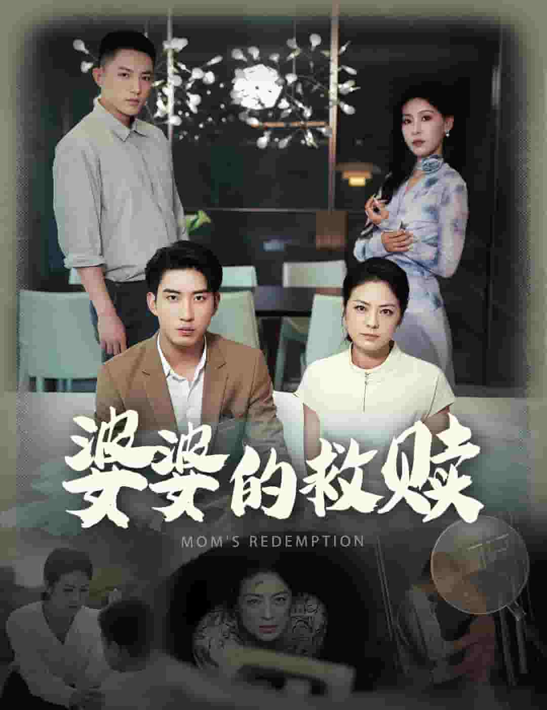 婆婆的救赎第27集