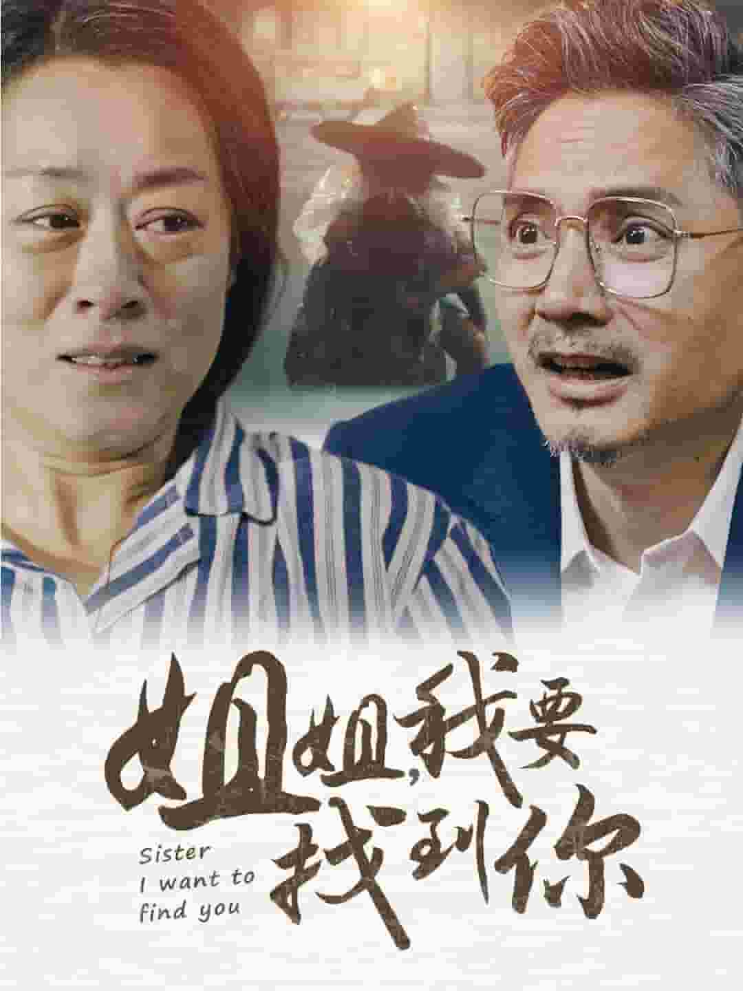 姐姐我要找到你第40集