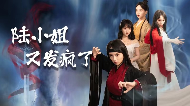 陆小姐又发疯了第09集