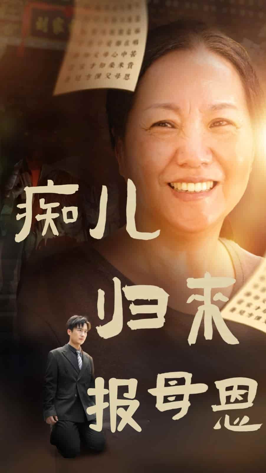 痴儿归来报母恩第12集