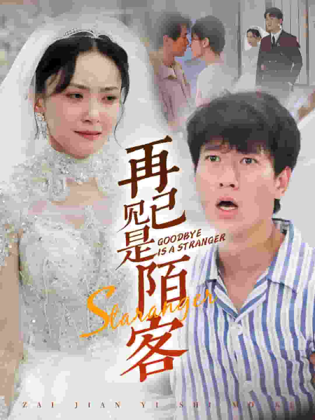 再见已是陌客第40集