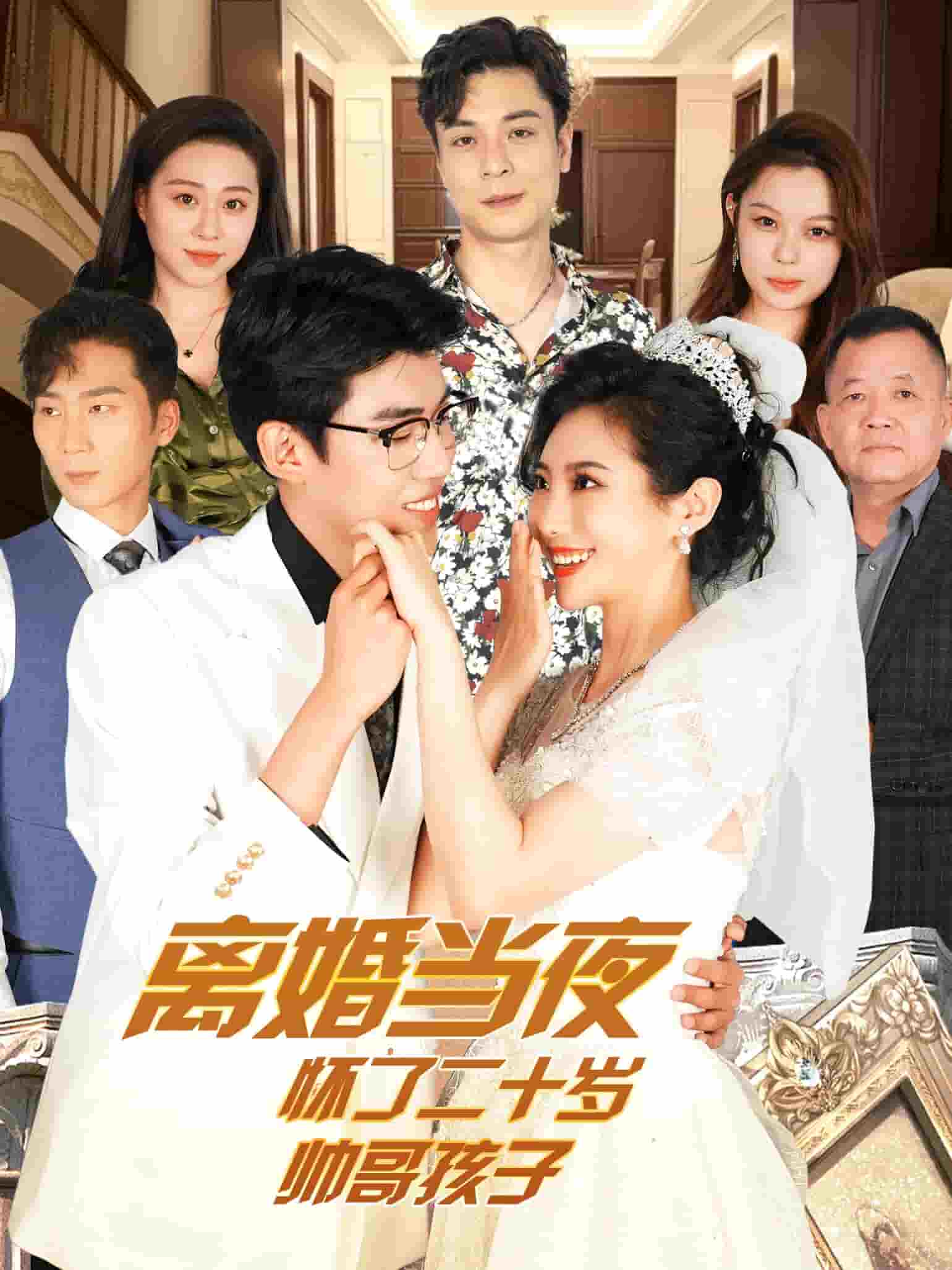 离婚当夜怀了二十岁帅哥第22集