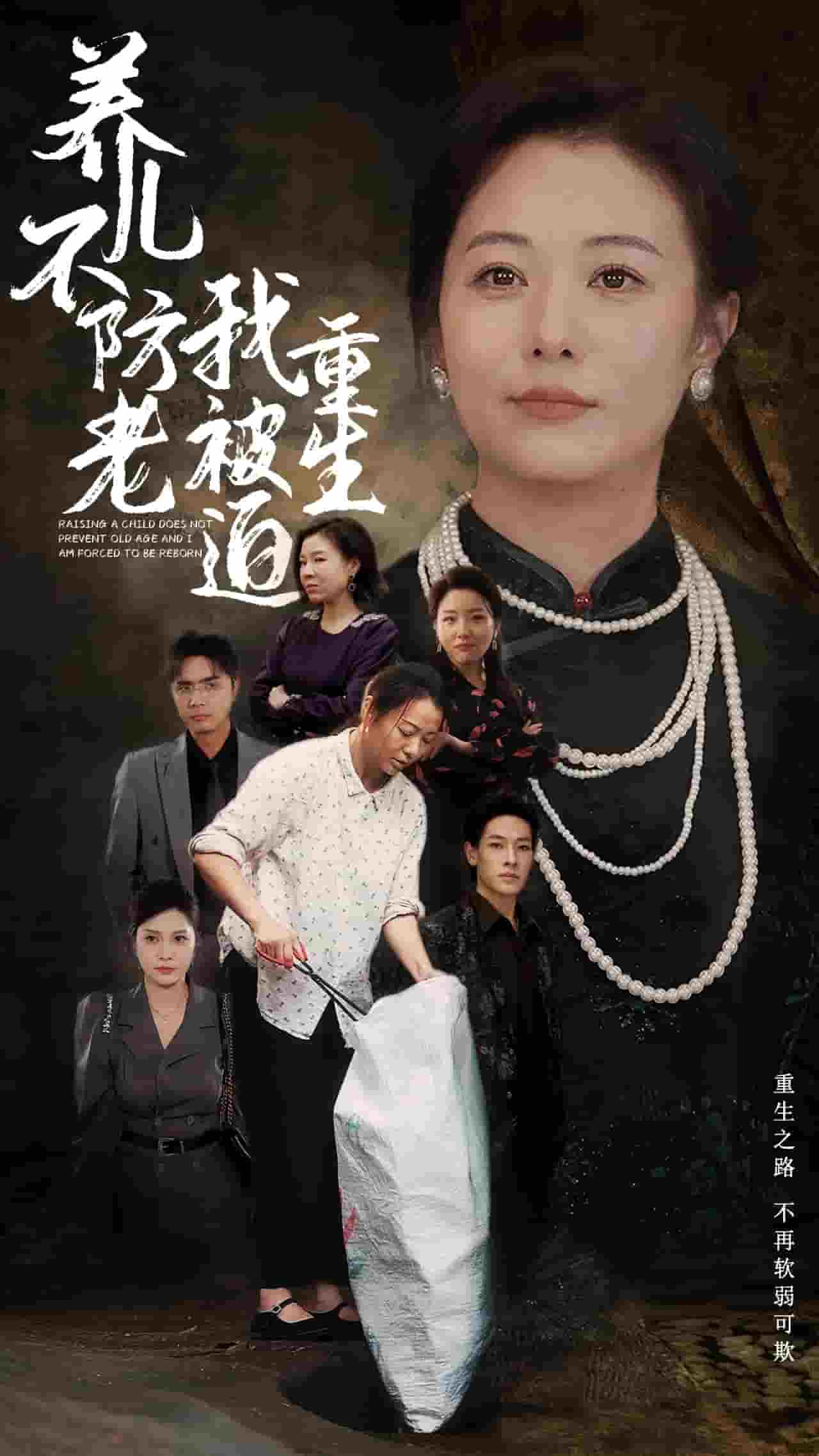 养儿不防老我被迫重生第12集