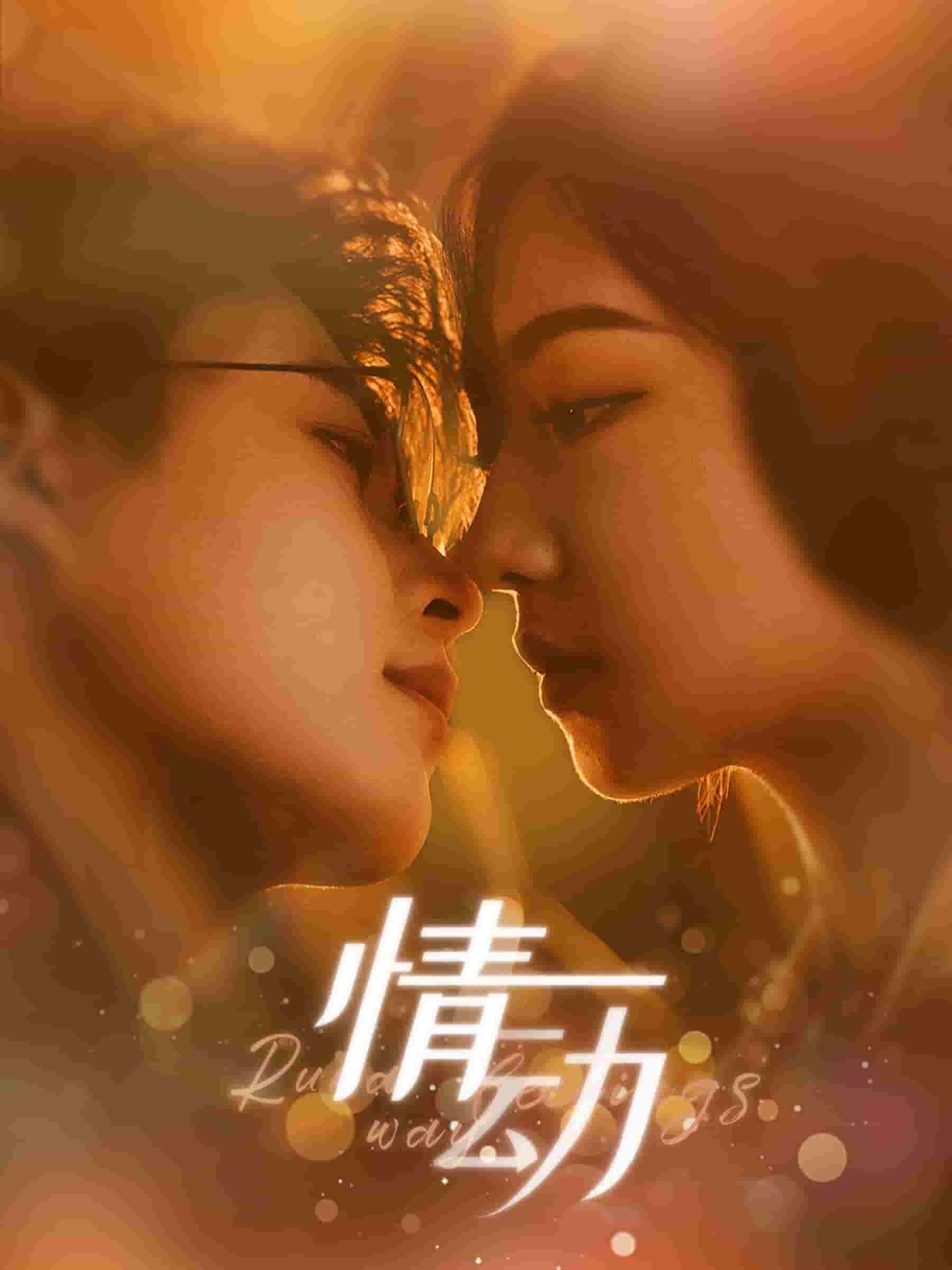 情动第73集