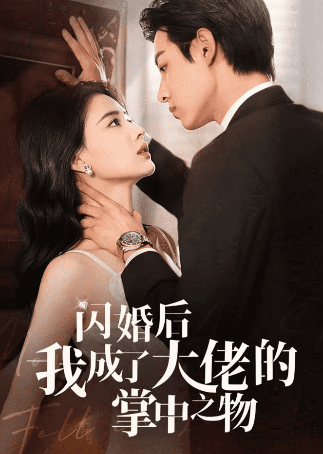 闪婚后我成了大佬的掌中之物第28集