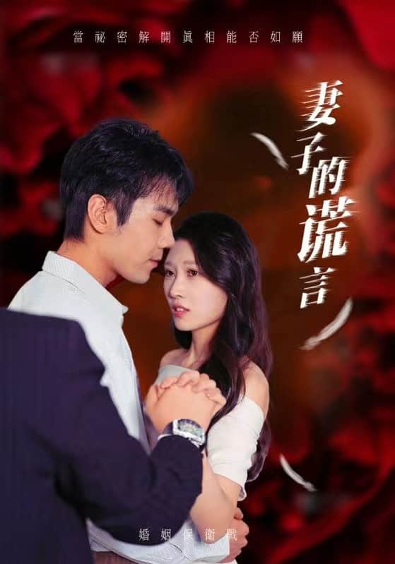 妻子的谎言第28集