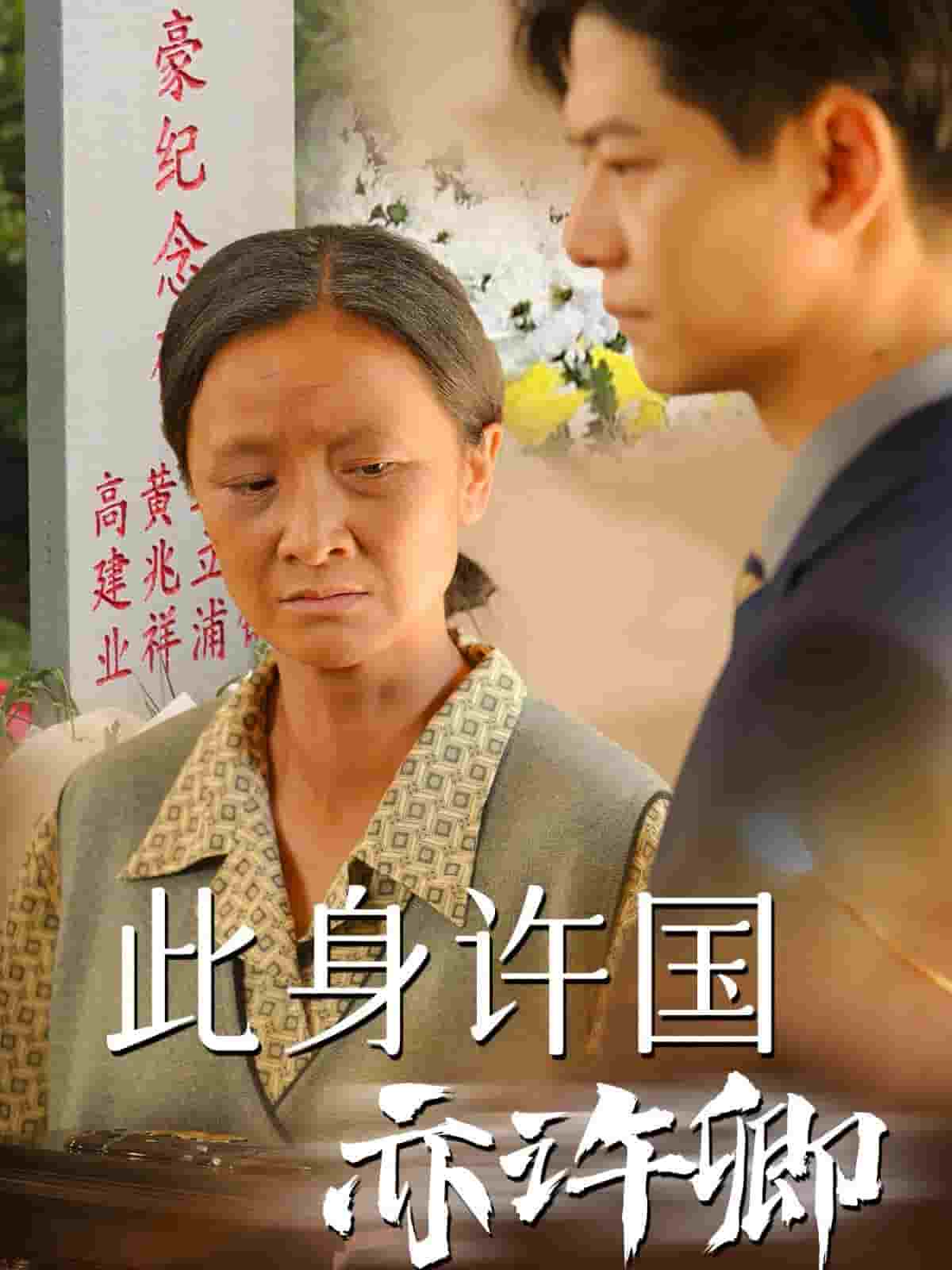 此身许国亦许卿第19集