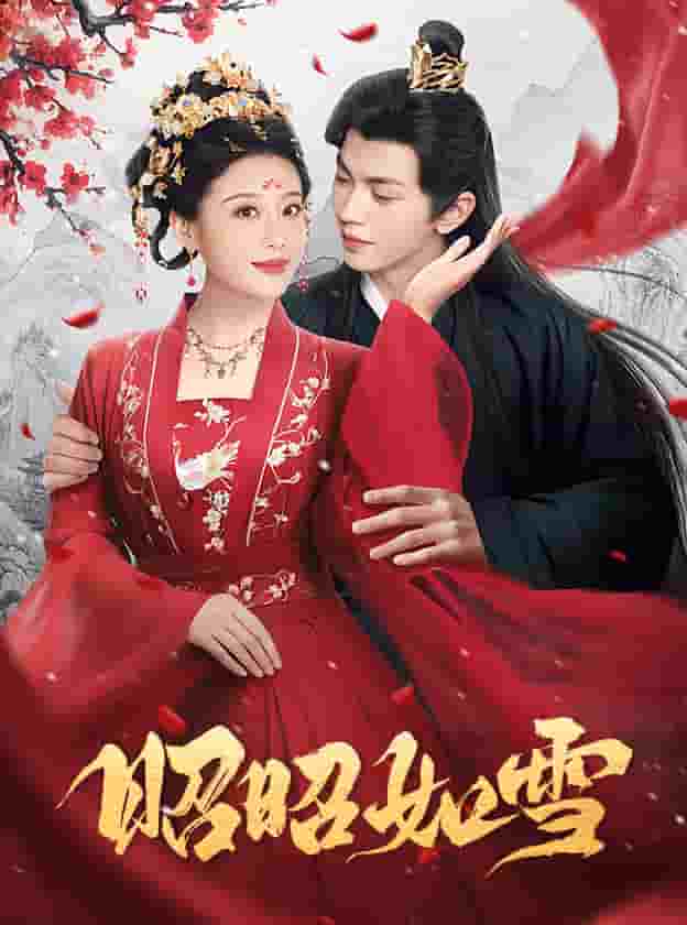 昭昭如雪第38集