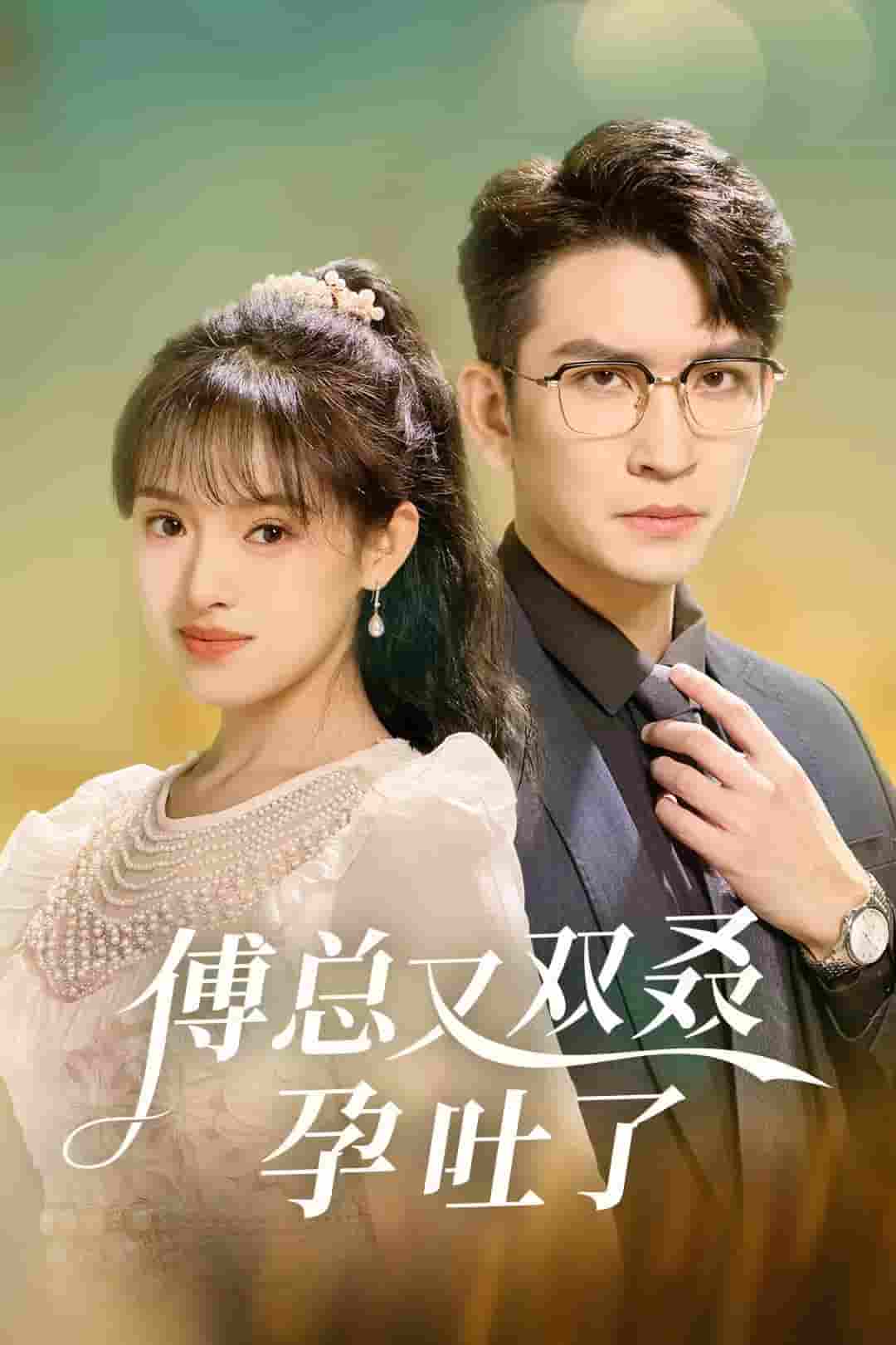 傅总又双叒孕吐了第22集