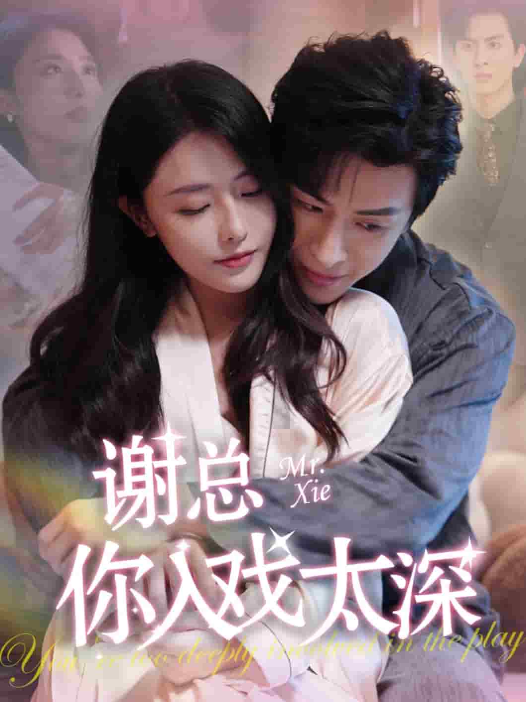 谢总你入戏太深第15集