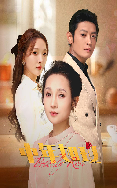 中年如玫第64集
