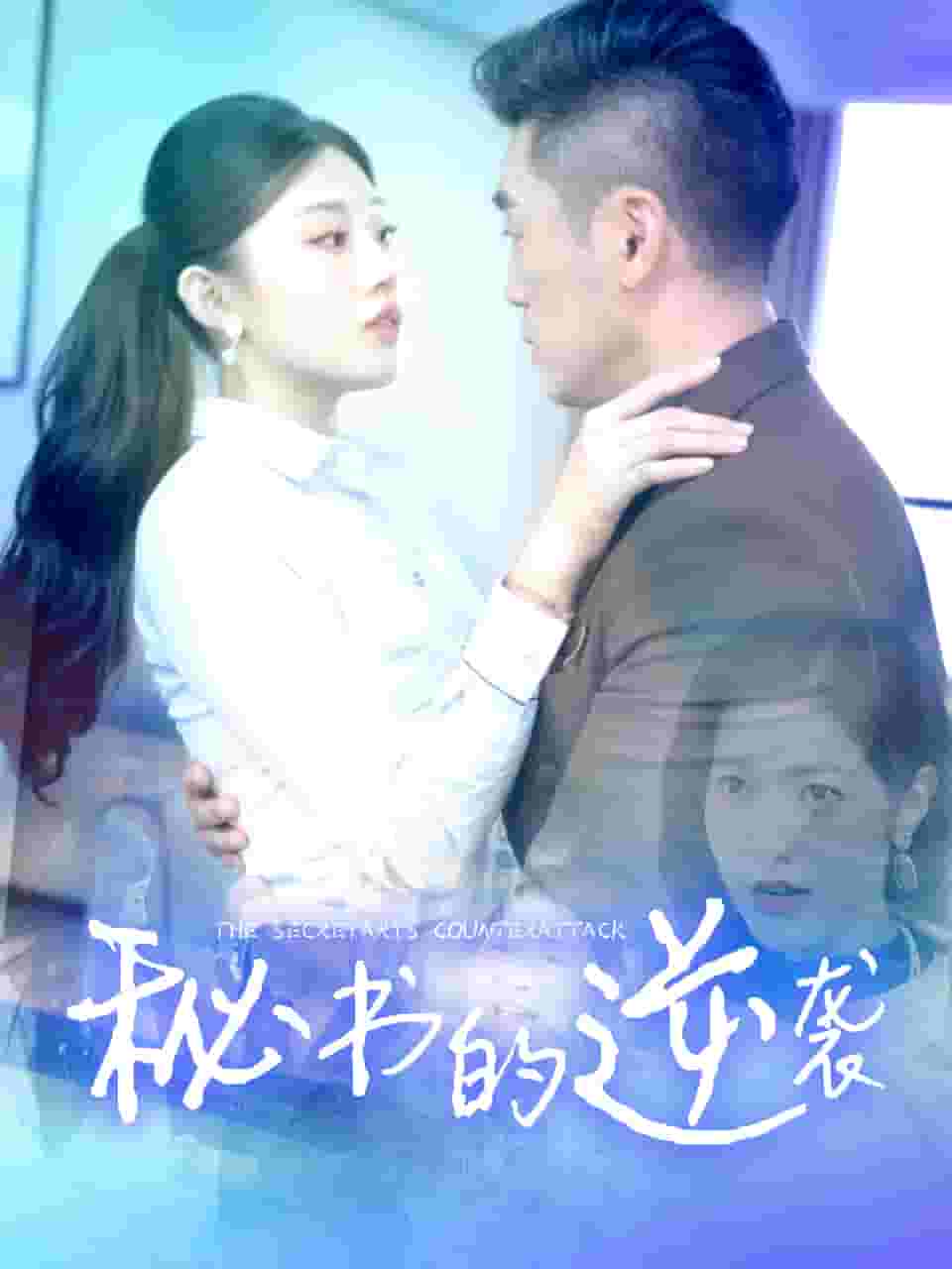 秘书的逆袭第02集