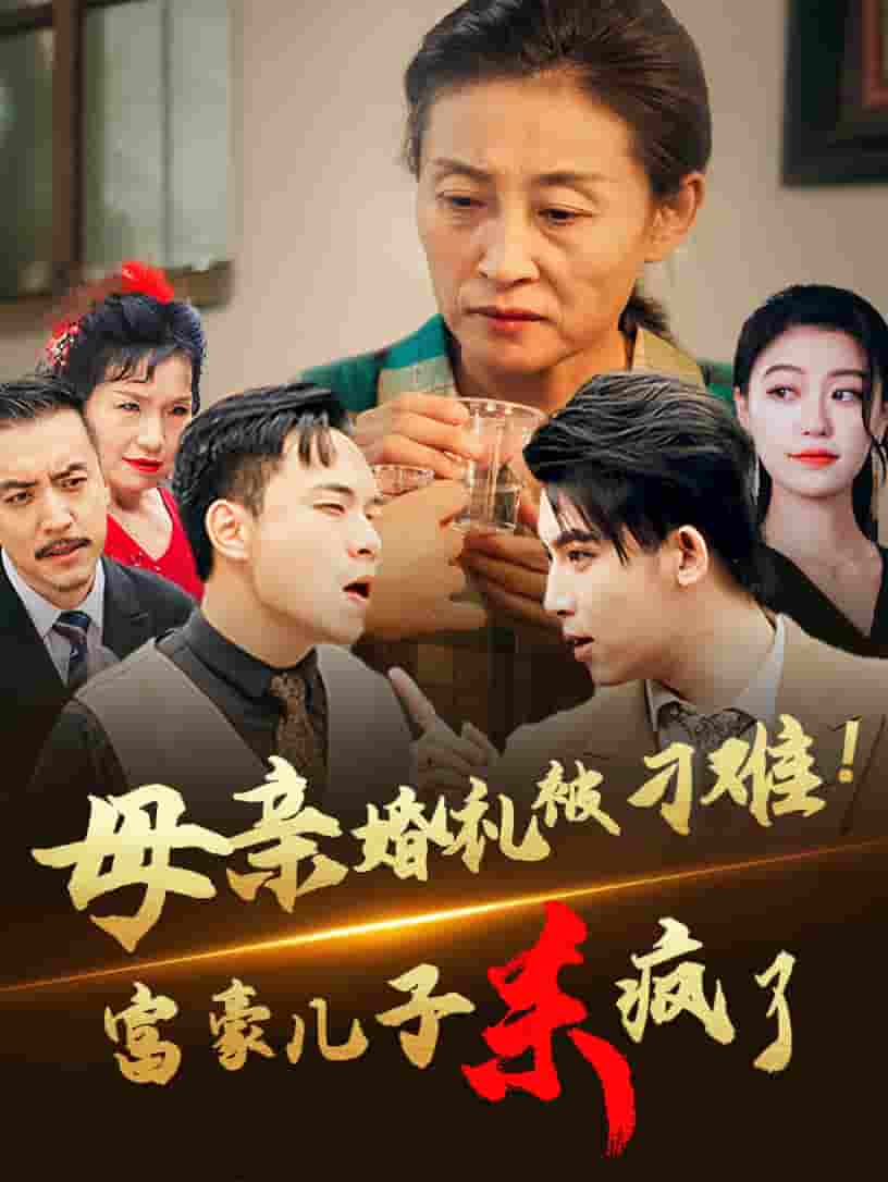 母亲婚礼被刁难首富儿子杀疯了第12集