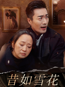 昔如雪花第12集