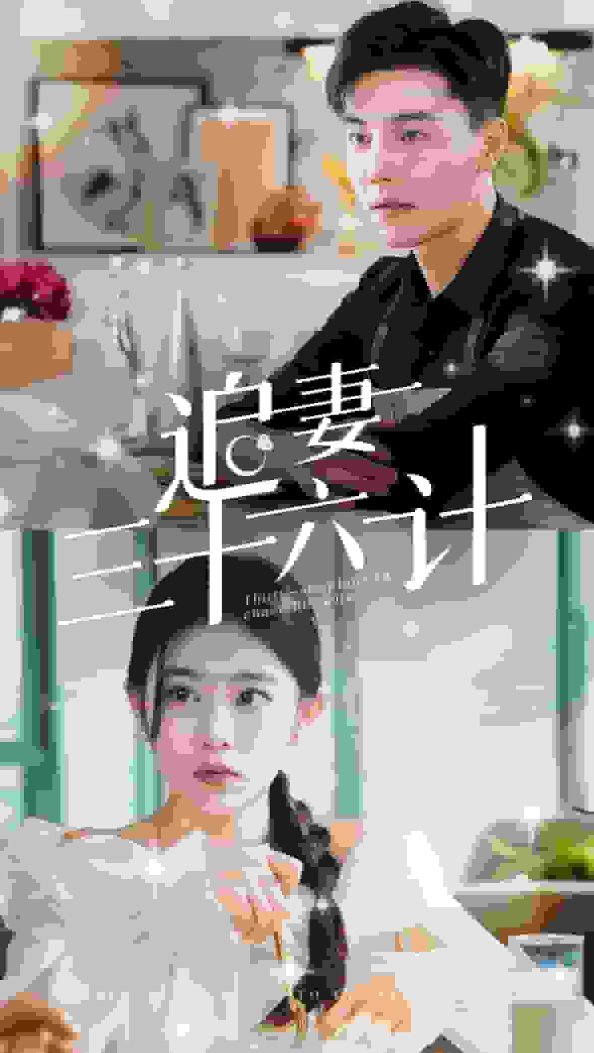 追妻三十六计第27集