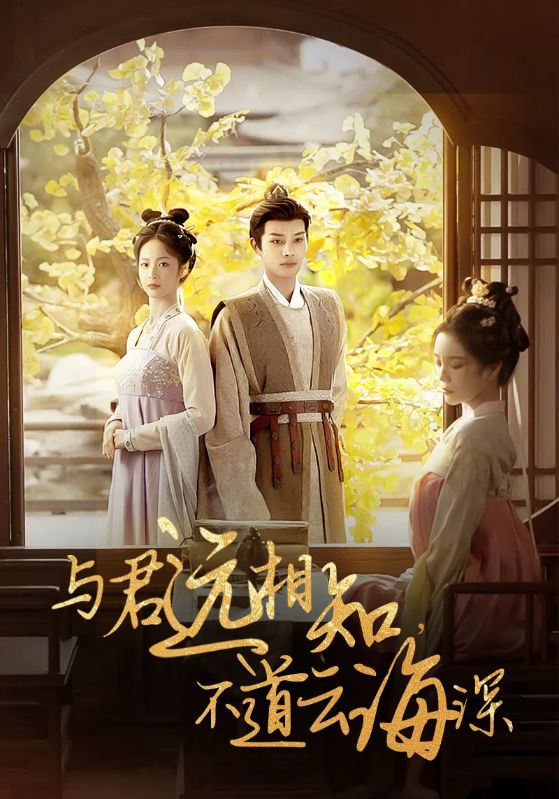 与君远相知不道云海深第15集