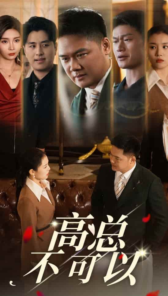 高总不可以第27集