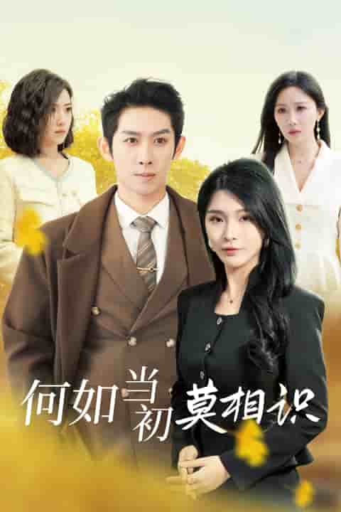 何如当初莫相识第25集