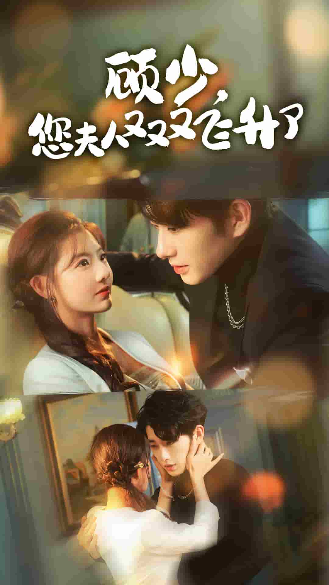 顾少您夫人又又又飞升了第18集