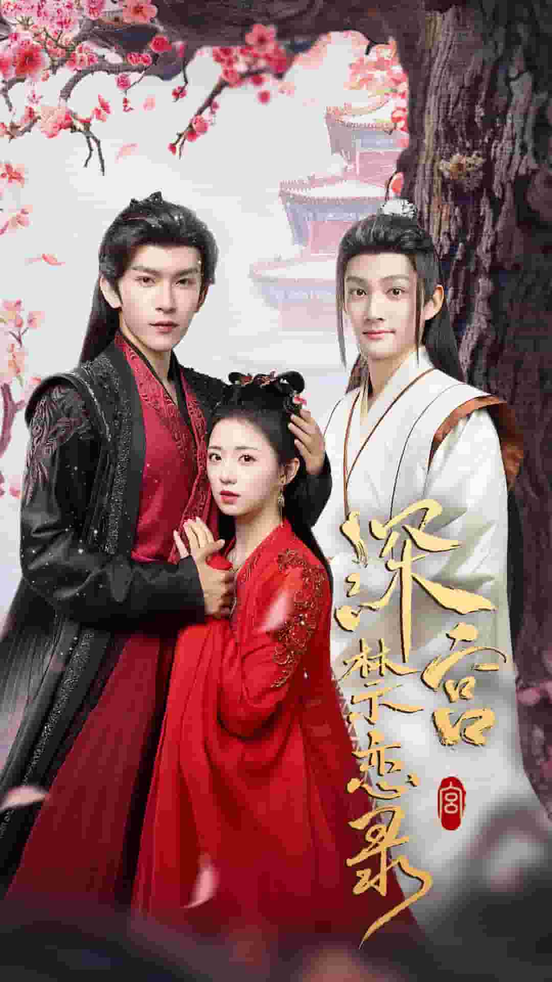 深宫禁恋录第57集