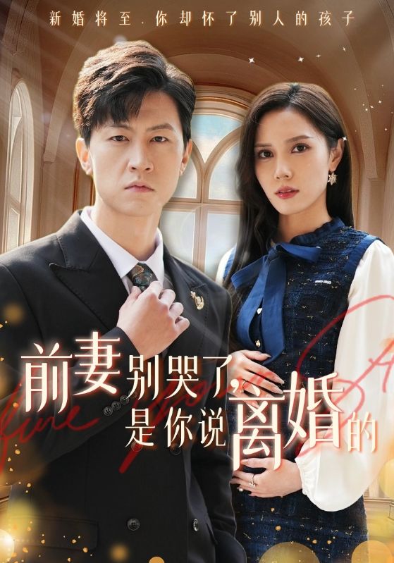 前妻别哭了是你说离婚的第37集