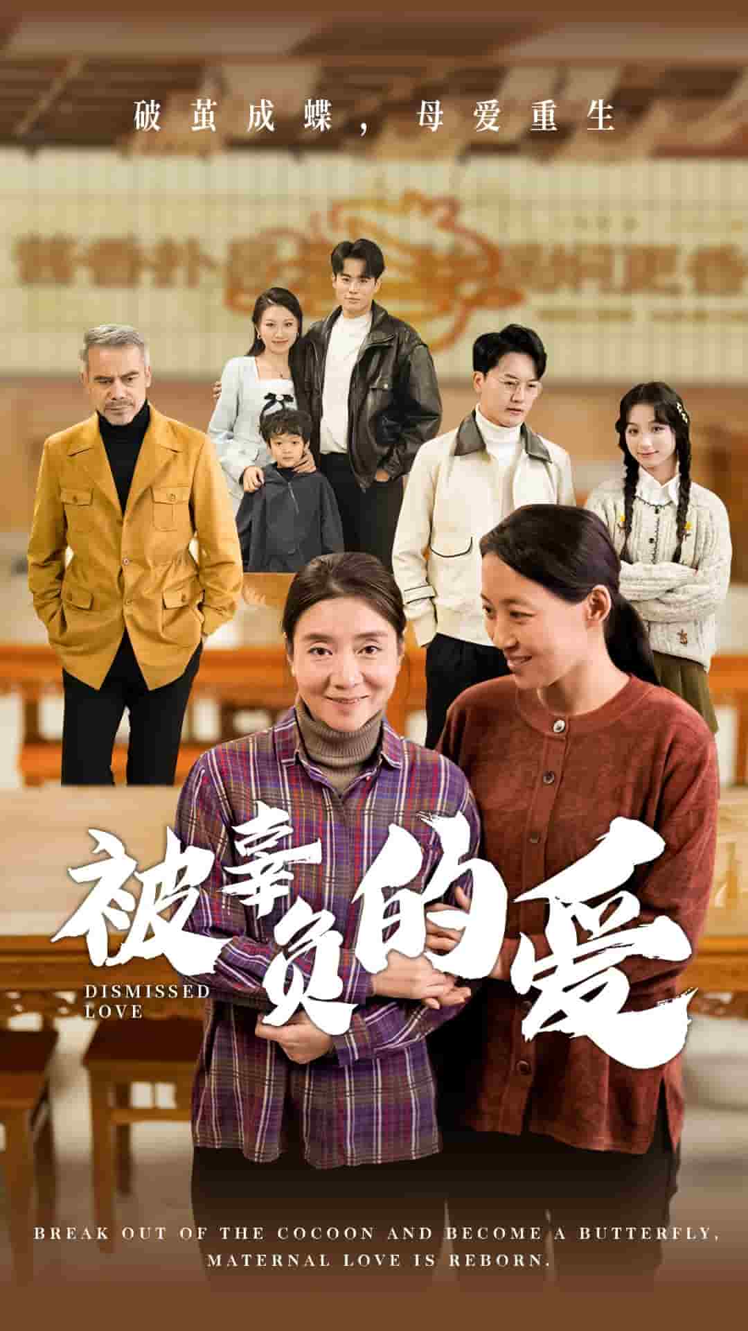 被辜负的爱第11集