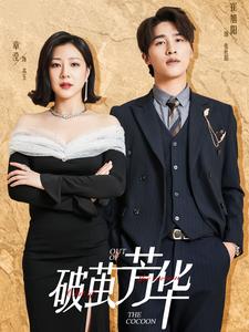 破茧芳华第12集