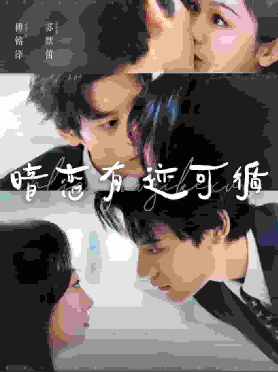 暗恋有迹可循第43集