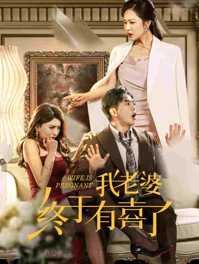 我老婆终于有喜了第02集
