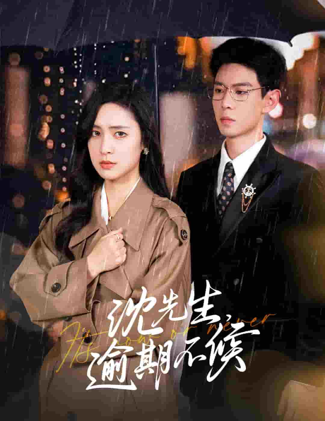 沈先生逾期不候第17集