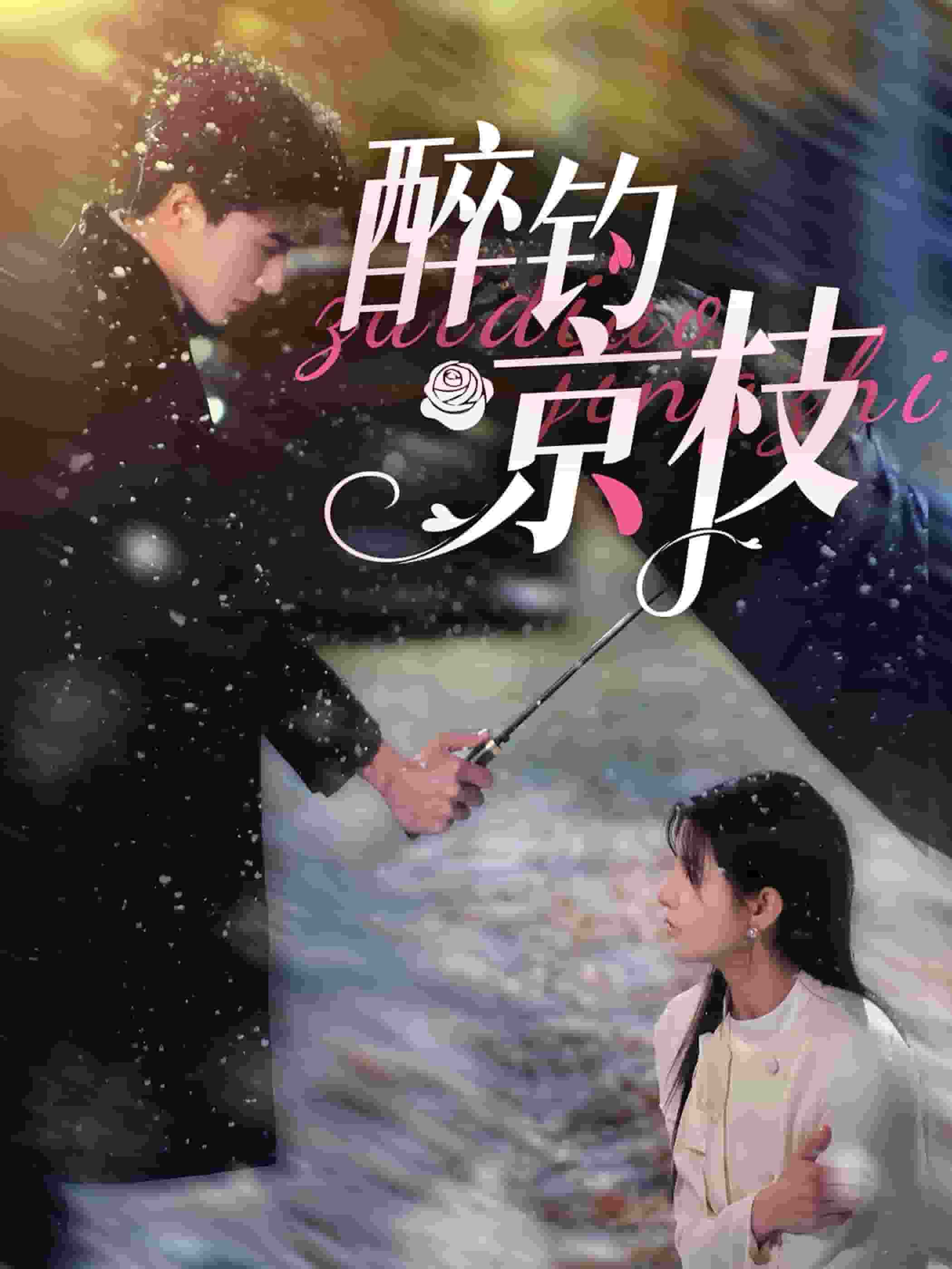 醉钓京枝第59集