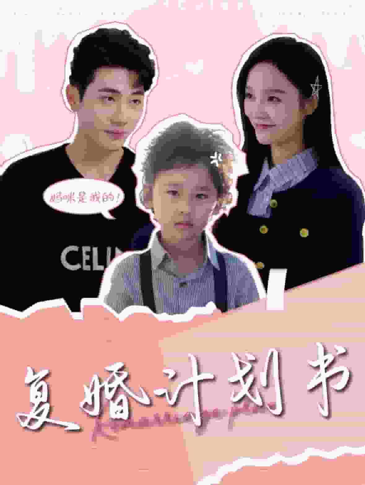 复婚计划书第14集