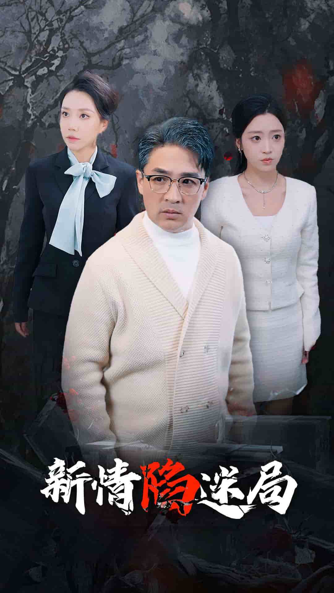 新情陷迷局第67集