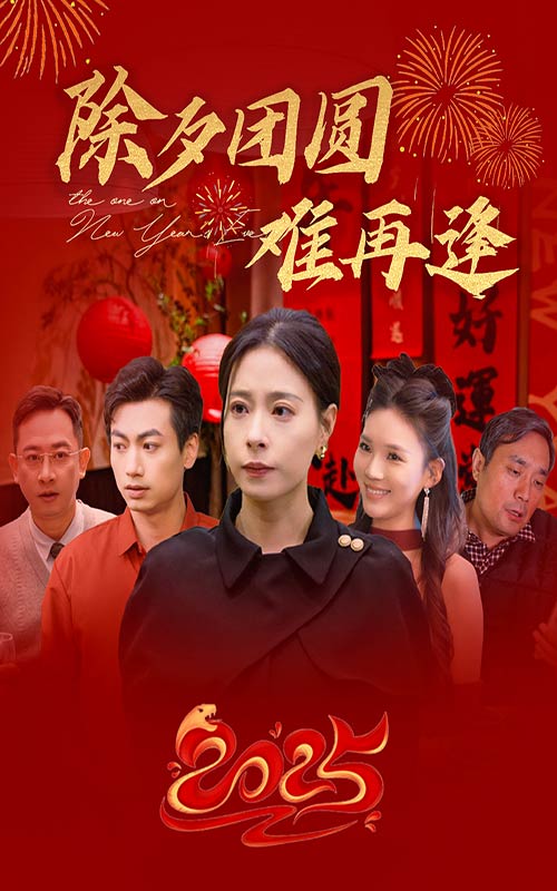 除夕团圆难再逢第14集