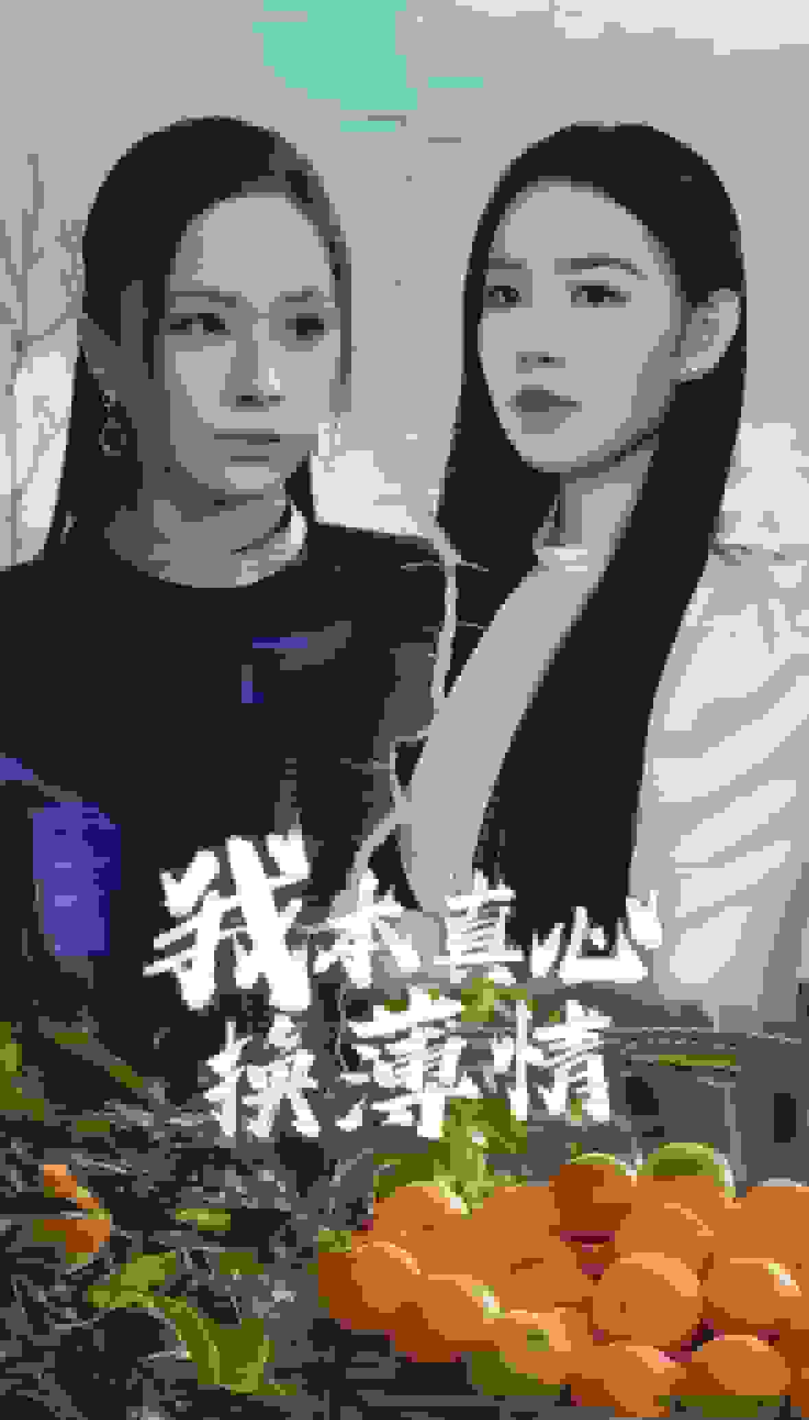 我本真心换薄情第16集