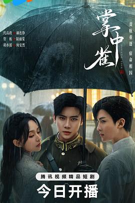 掌中雀第13集