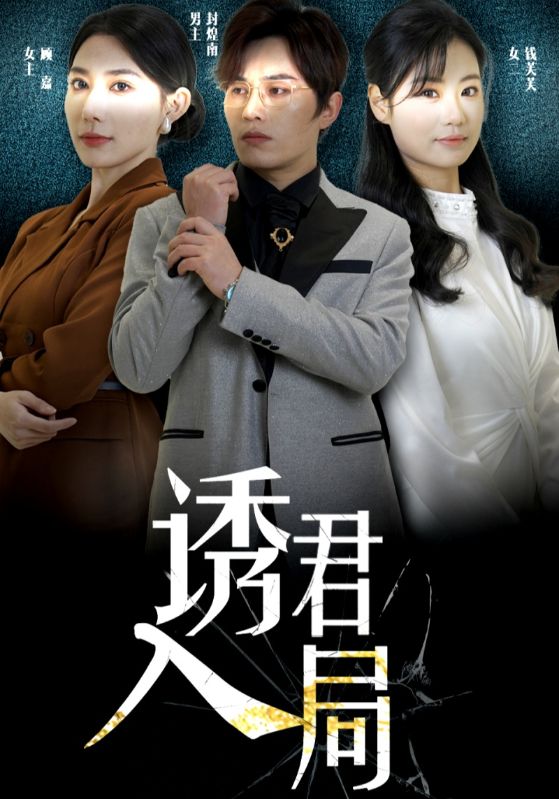 诱君入局第31集
