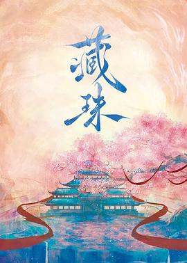 藏珠第12集