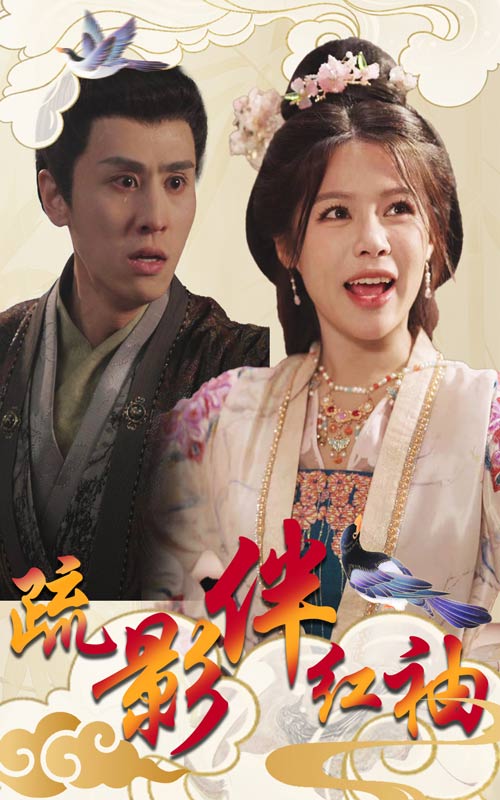 疏影伴红袖第40集(大结局)