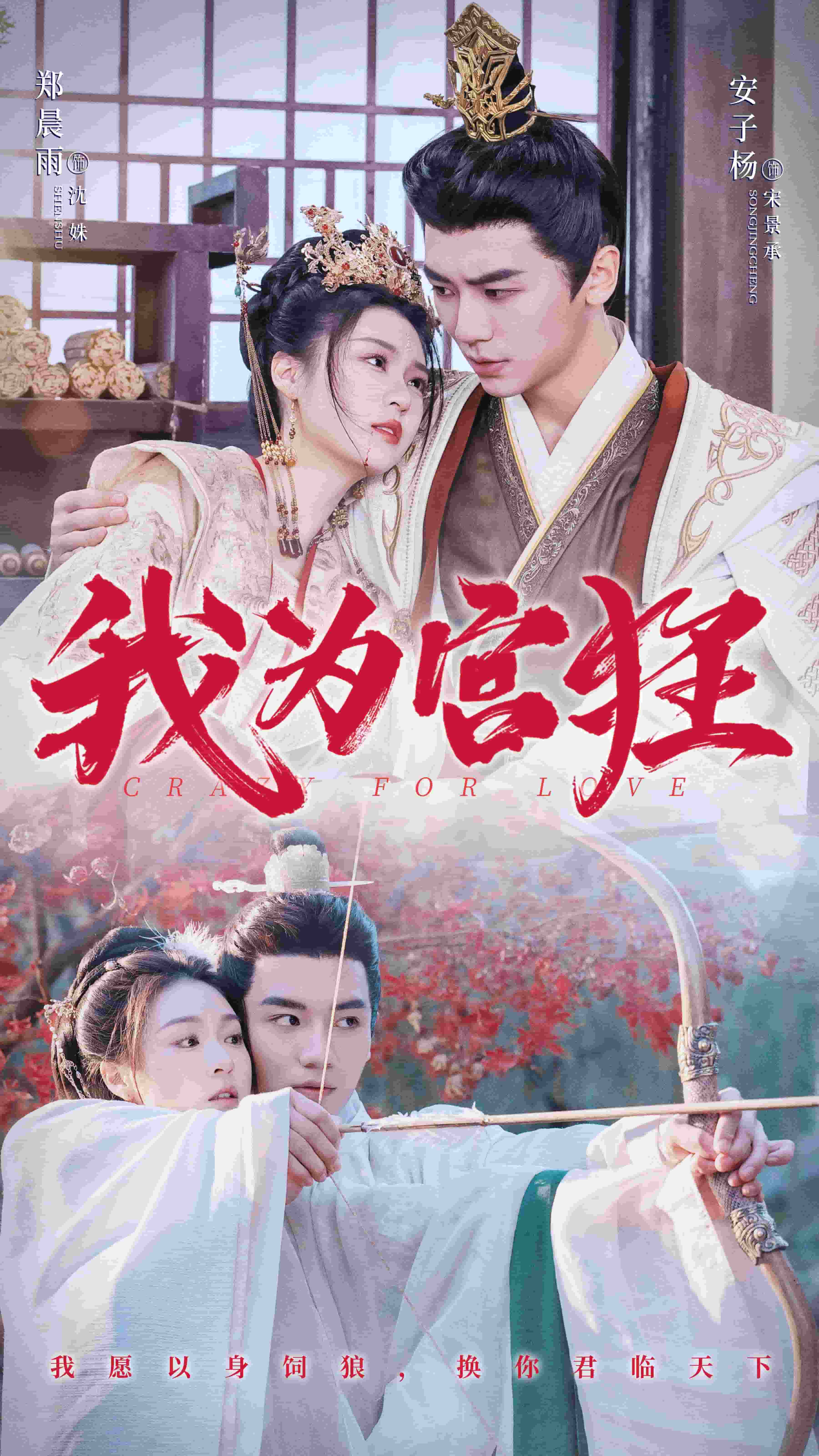 我为宫狂第50集