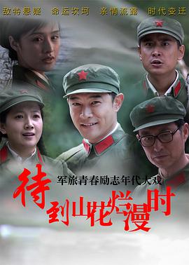 待到山花烂漫时第12集