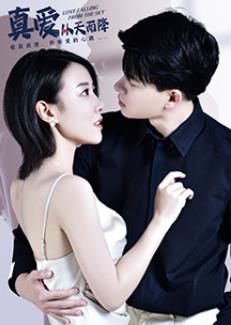 真爱从天而降第16集