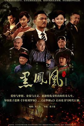 黑凤凰第31集
