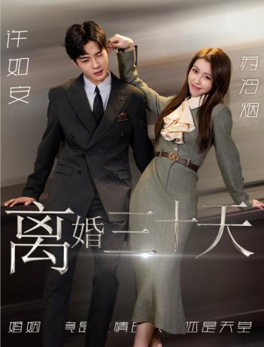 离婚三十天第19集