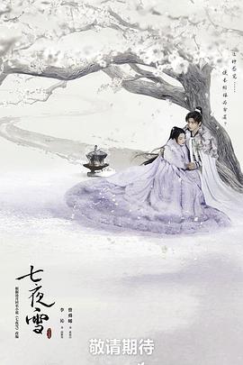 七夜雪第21集