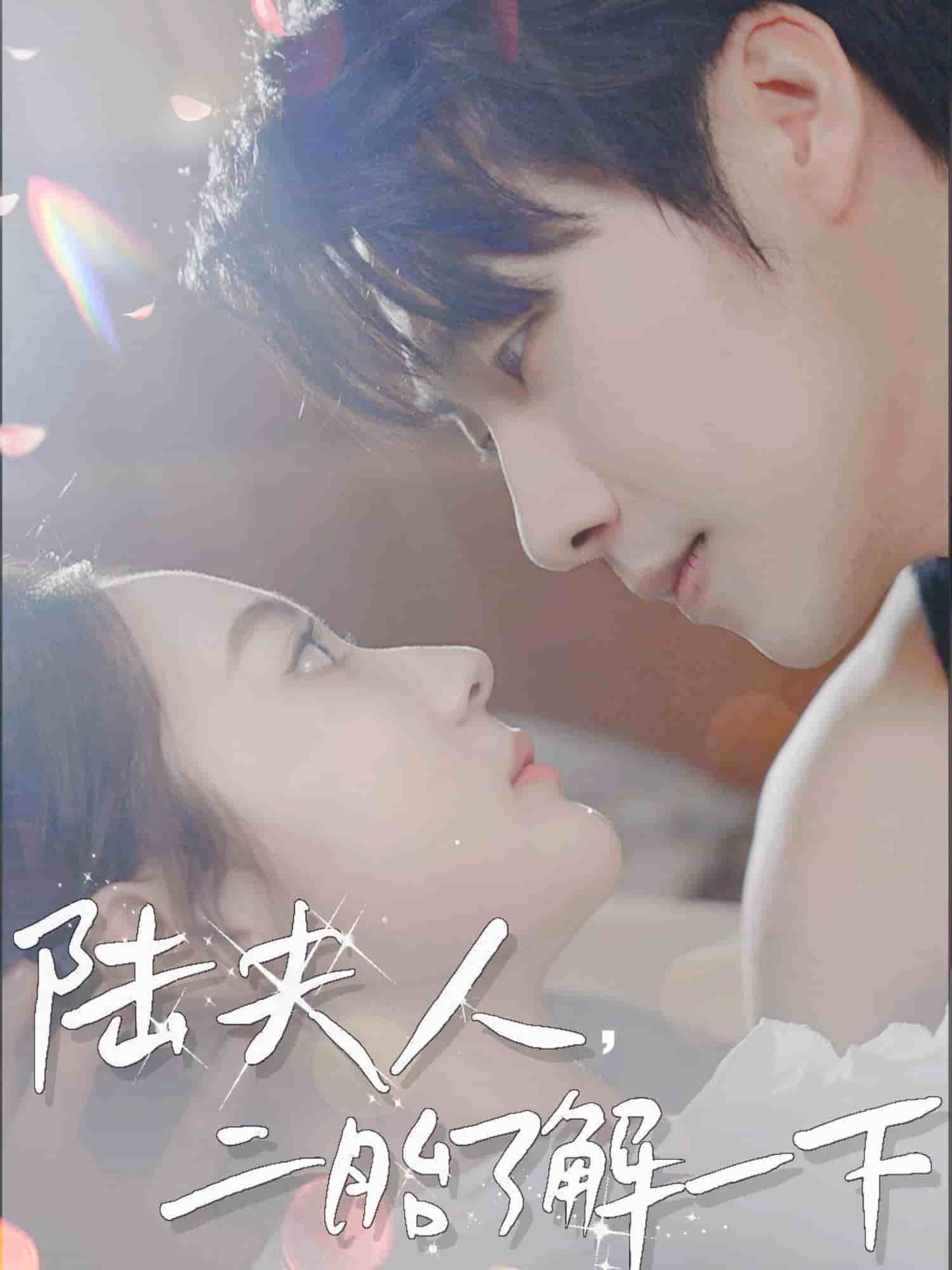 陆夫人，二胎了解一下(全集)
